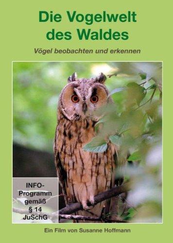 Die Vogelwelt des Waldes