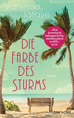 Die Farbe des Sturms: Roman