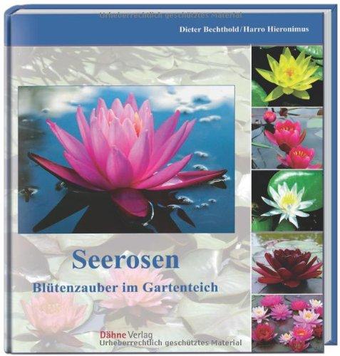 Seerosen: Blütenpracht im Gartenteich