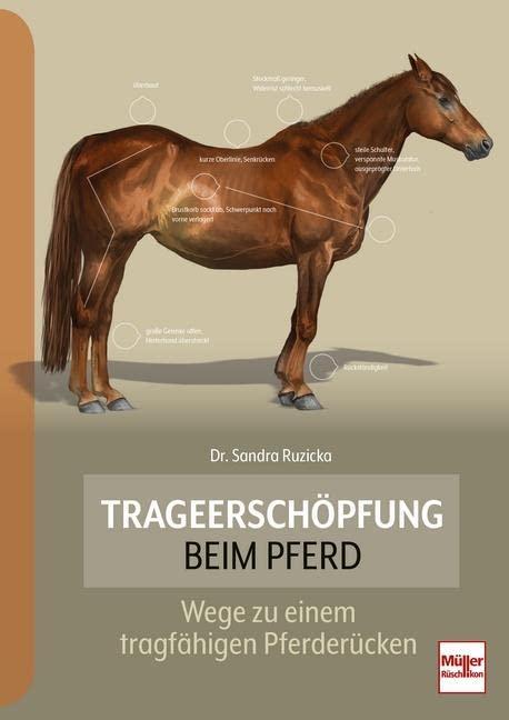 Trageerschöpfung beim Pferd: Wege zu einem tragfähigen Pferderücken