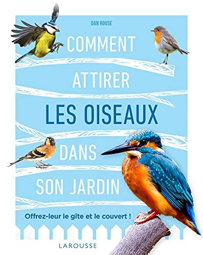 Comment attirer les oiseaux dans son jardin : offrez-leur le gîte et le couvert !