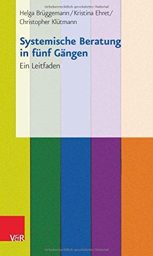Systemische Beratung in fünf Gängen: Ein Leitfaden