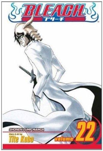 Bleach, Vol. 22