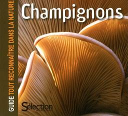 Champignons