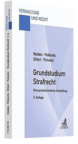 Grundstudium Strafrecht: Eine praxisorientierte Darstellung