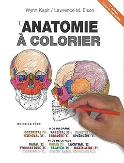 L'anatomie à colorier