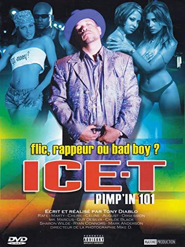 Ice-T - Pimp'in 101