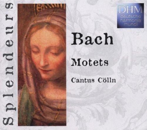 Splendeurs: Motets