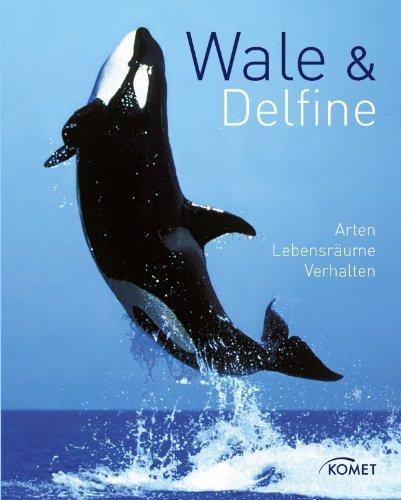 Wale & Delfine: Arten, Lebensräume, Verhalten