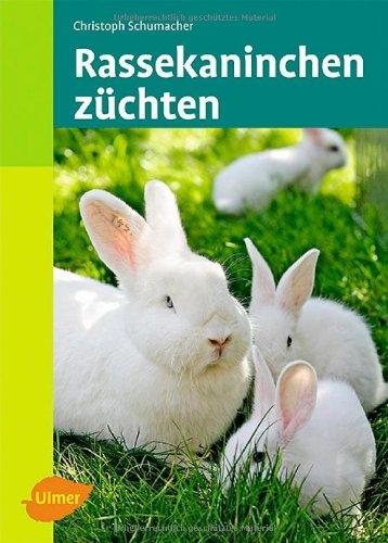 Rassekaninchen züchten