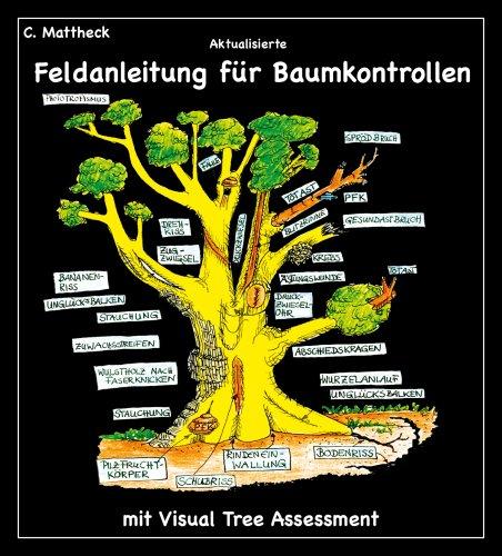 Aktualisierte Feldanleitung für Baumkontrollen mit Visual Tree Assessment