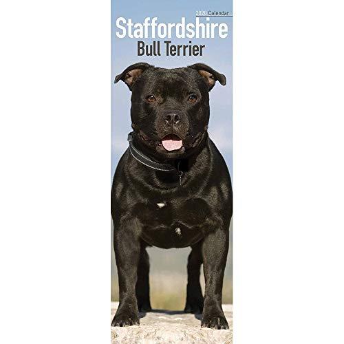 Staffordshire Bull Terrier Slim Calendar 2020