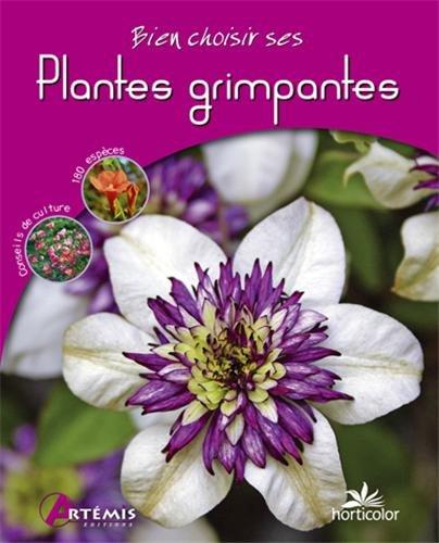 Bien choisir ses plantes grimpantes