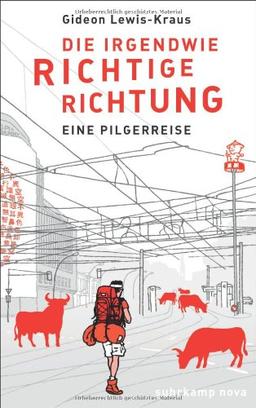 Die irgendwie richtige Richtung: Eine Pilgerreise (suhrkamp taschenbuch)