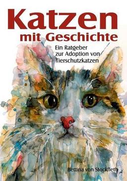 Katzen mit Geschichte: Ein Ratgeber zur Adoption von Tierschutzkatzen