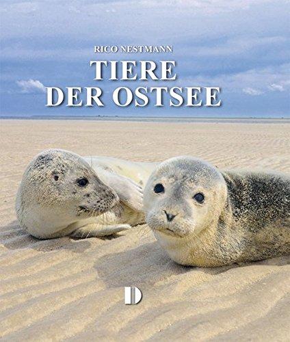 Bildband Tiere der Ostsee