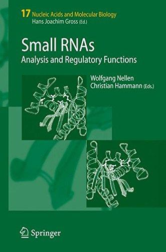 Small RNAs:: Analysis and Regulatory Functions (Nucleic Acids and Molecular Biology)