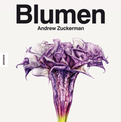 Blumen