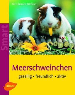 Meerschweinchen: Gesellig - freundlich - aktiv