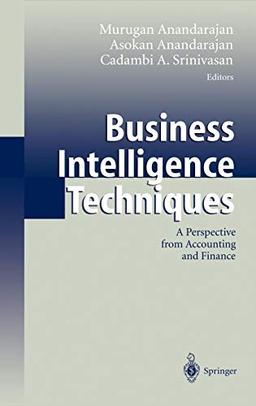 Business Intelligence Techniques: A Perspective from Accounting and Finance