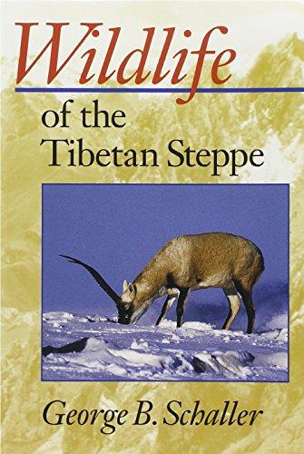 Wildlife of the Tibetan Steppe