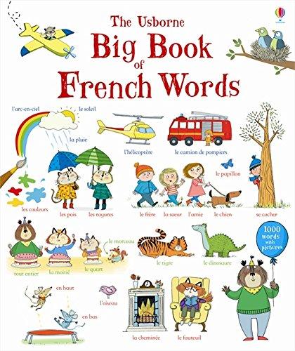 Big Book of French Words (Big Book of Words)