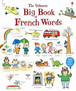 Big Book of French Words (Big Book of Words)