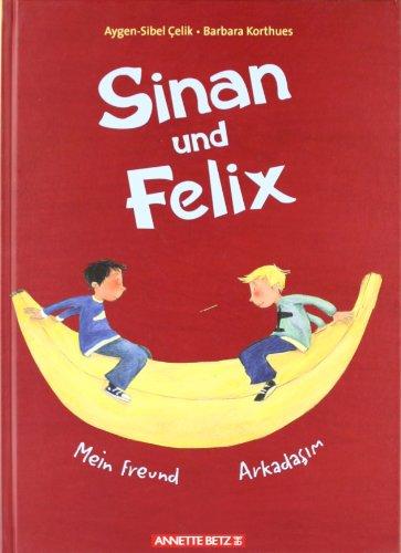 Sinan und Felix: Mein Freund / Arkadasim