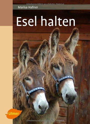 Esel halten