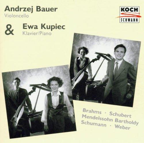 Duo Bauer, Cello / Kupiec, Klavier