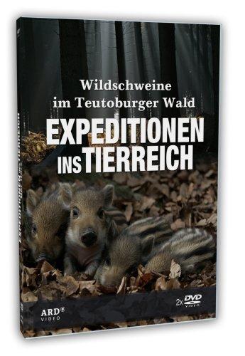 Expeditionen ins Tierreich - Wildschweine im Teutoburger Wald (2 DVDs)"