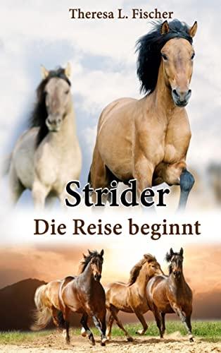 Strider: Die Reise beginnt