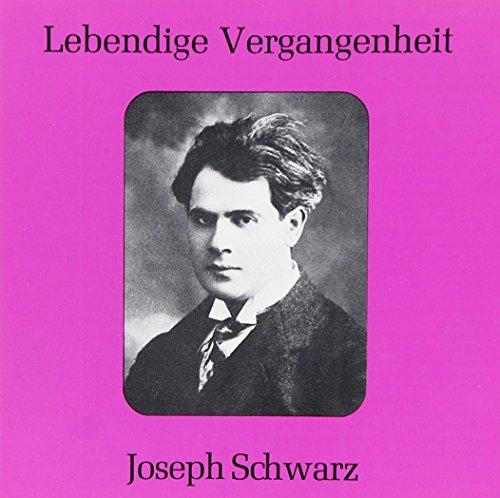 Lebendige Vergangenheit - Joseph Schwarz