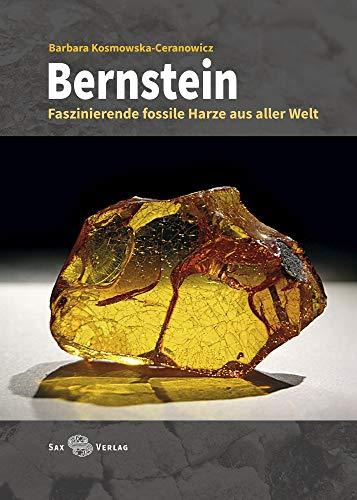 Bernstein: Faszinierende fossile Harze aus aller Welt