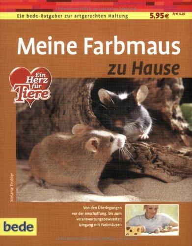 Meine Farbmaus zu Hause: Ein bede-Ratgeber zur artgerechten Haltung. Von den Überlegungen vor der Anschaffung, bis zum verantwortungsbewussten Umgang mit Farbmäusen