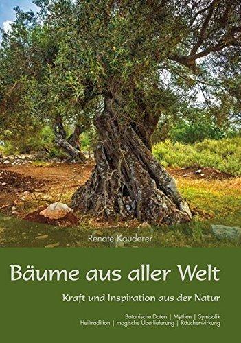 Bäume aus aller Welt: Kraft und Inspiration aus der Natur