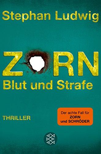 Zorn 8 - Blut und Strafe: Thriller