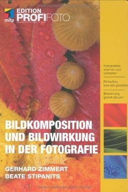 Bildkomposition und Bildwirkung in der Fotografie