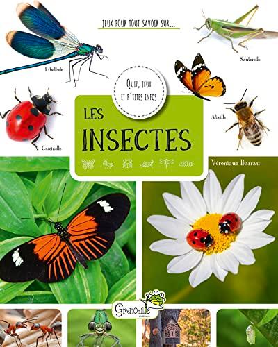 Les insectes : quiz, jeux et p'tites infos