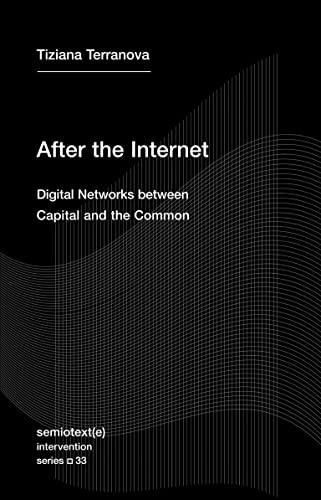 After the Internet: Digital Networks between Capital and the Common (Semiotext(e) / Intervention Series, Band 33)