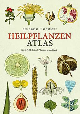 Der große Heilpflanzen-Atlas: Köhlers Medizinal-Pflanzen - neu editiert