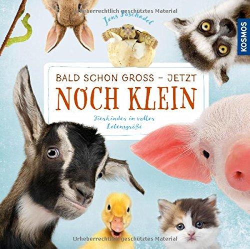 Bald schon groß - jetzt noch klein: Tierkinder in voller Lebensgröße