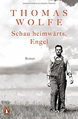 Schau heimwärts, Engel: Roman