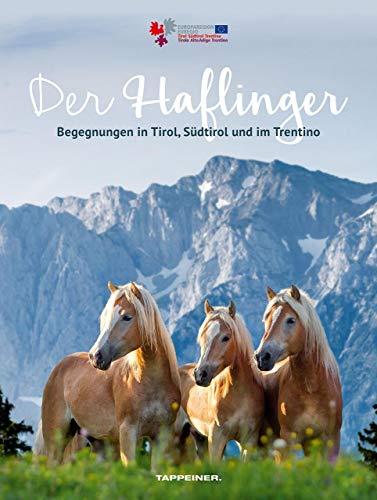 Der Haflinger: Begegnungen in Tirol, Südtirol und im Trentino