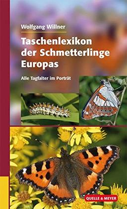 Taschenlexikon der Schmetterlinge Europas: Alle Tagfalter im Porträt