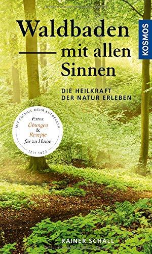 Waldbaden mit allen Sinnen: Die Heilkraft der Natur erleben