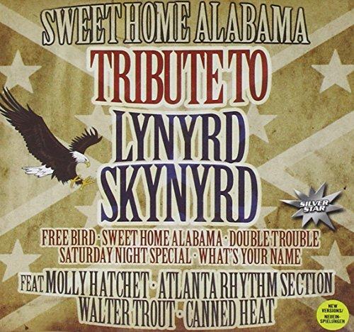 Sweet Home Alabama,Tribute to Lynyrd Skynyrd