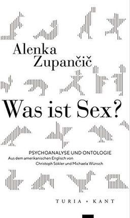 Was ist Sex?: Psychoanalyse und Ontologie (Neue Subjektile)