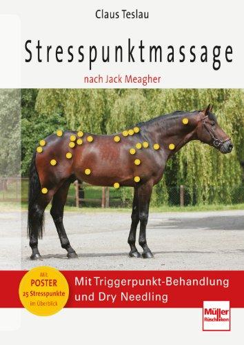 Stresspunktmassage nach Jack Meagher: Mit Triggerpunkt-Behandlung und Dry Needling