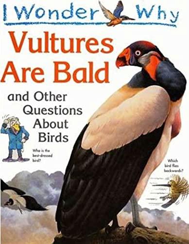 I Wonder Why Vultures Are Bald: And Other Questions About Birds